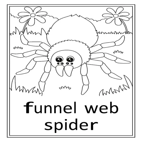 Awesome Aussie Animals Colouring Book | 28 Printable Pages - Image 4