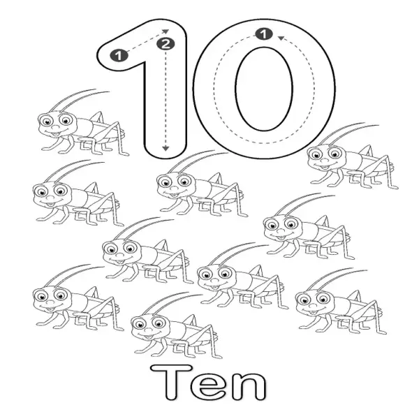 All-in-One Number Coloring Pages 0-10 | Count, Color & Learn