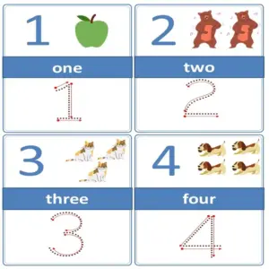 Editable Farm Animal Number Tracing & Counting Flash Cards