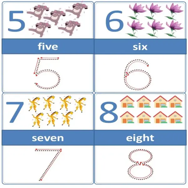 Editable Farm Animal Number Tracing & Counting Flash Cards - Image 3