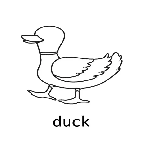 The Happy Farm Coloring Book | 12 Fun & Educational Animal Activities - Image 4