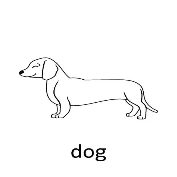 The Happy Farm Coloring Book | 12 Fun & Educational Animal Activities - Image 3