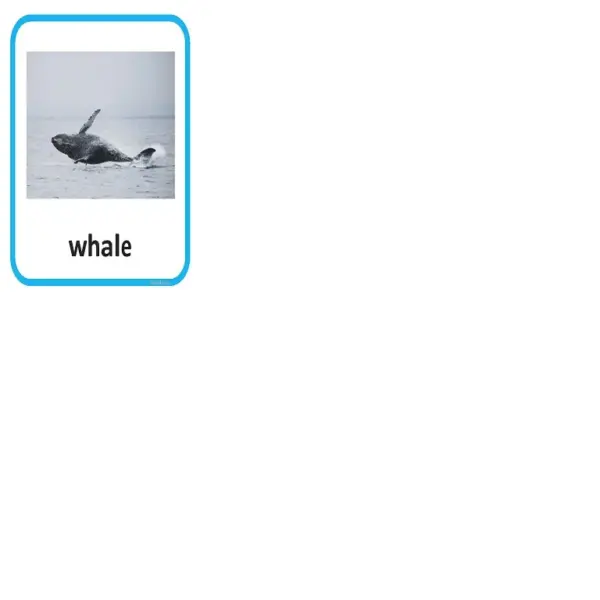 The Ultimate Animal Sort | Vertebrate or Invertebrate Photo Cards - Image 2